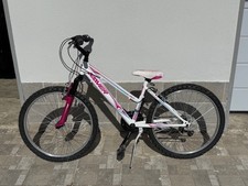 Bicicletta mtb mountain usato  Pavia