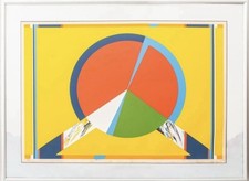 Budd hopkins yellow for sale  Mahopac