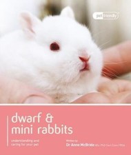 Dwarf mini rabbits for sale  STOCKPORT