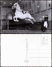 Ansichtskarte wien spanische gebraucht kaufen Ansichtskarte wien spanische gebraucht kaufen  Ortrand