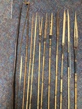 New guinea tribal for sale  Butler