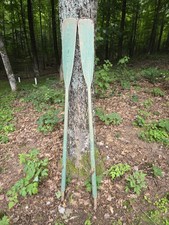 Vintage green oak for sale  Minocqua