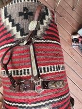 Show halter horse for sale  Holt