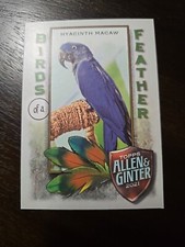 2021 topps allen for sale  Chester