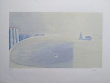 Litografia virgilio guidi usato  Italia