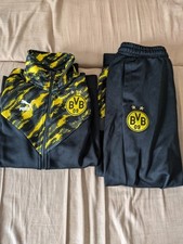Bvb borussia dortmund gebraucht kaufen  Heuchelheim