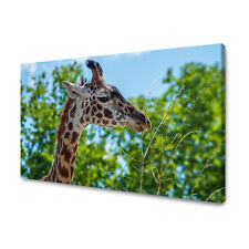 Leinwandbild tiere giraffe gebraucht kaufen  Großröhrsdorf