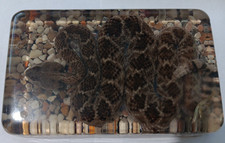 100 genuine diamondback for sale  Zephyrhills