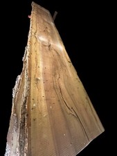 Pressure treated poplar for sale  Mechanicsville