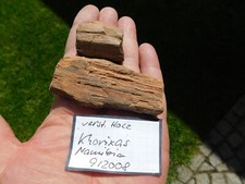 versteinertes holz gebraucht kaufen versteinertes holz gebraucht kaufen Limbach-Oberfrohna