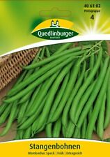 Stangenbohnen mombacher speck gebraucht kaufen  Quedlinburg