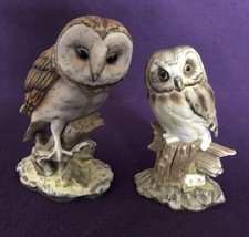 Chancery collection ceramic for sale  WELLINGBOROUGH
