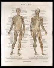 Riginal lithographie 1896 gebraucht kaufen Riginal lithographie 1896 gebraucht kaufen  Hamburg