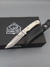 Coltello caccia damascato usato  Spedire a Italy