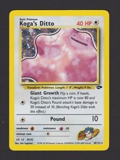 Koga ditto holo usato  Trieste