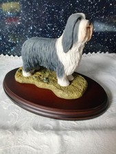 Bearded collie best for sale  STOKE-ON-TRENT