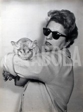 Vintage animali signora usato Vintage animali signora usato  Roma