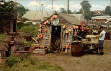 Gloucester fisherman shanty for sale  Harvard
