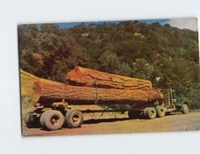 Postcard lumbering logging for sale  Stevens Point
