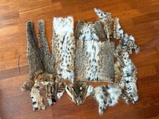 Bobcat pelts fur for sale  Chicago