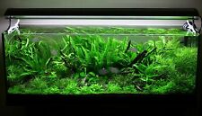 Live aquarium coldwater for sale  DRONFIELD
