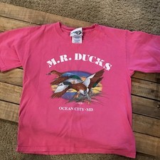 Vtg 2004 ducks for sale  Lancaster