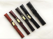 Alligator fullcut band gebraucht kaufen  Lauingen (Donau)