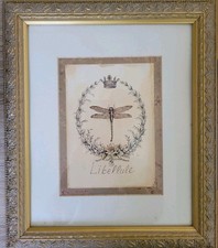 13x11x1 dragonfly libellule for sale  Warwick
