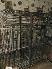 Used double parrot for sale  KIDDERMINSTER