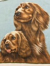 American labrador retrievers for sale  Wallingford