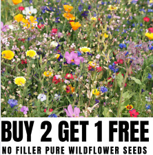 1kg wild flower for sale  UK