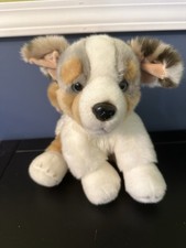 Ganz australian shepherd for sale  Chillicothe
