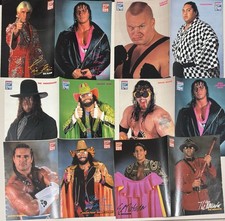 Wrestling poster pop gebraucht kaufen  Remscheid