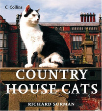 Country house cats for sale  ROSSENDALE