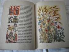 Altes bilderbuch kinderbuch gebraucht kaufen  Senftenberg