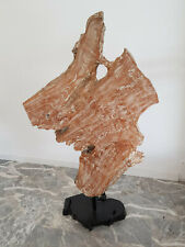 Scultura legno teak usato  Montegrotto Terme