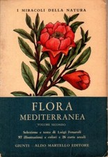 Flora mediterranea aldo usato  Scandicci