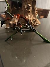 Tim cotterill frogman for sale  BLYTH