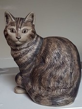 Large poole cat for sale  NEWPORT