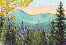 Atc aceo spring for sale  Sherman