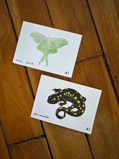 Individual ana inciardi for sale  Brunswick