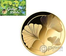 Ginkgo biloba 1000 usato  Ciampino