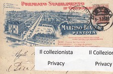 Premiato stabilimento orticolt usato  Montione