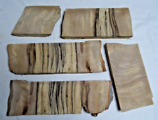 Gestockte buche bohle gebraucht kaufen  Bad Kreuznach