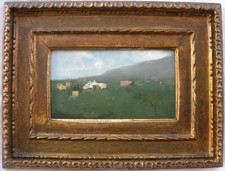 Carlo brancaccio paesaggio usato  Casteggio