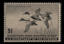 Rw12 duck hunting for sale  Pacific Grove
