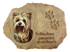 Yorkies leave paw for sale  Neenah