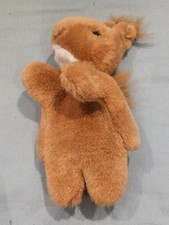 Lovely red squirrel for sale  TAMWORTH