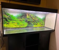 Juwel 240l 4ft for sale  ALDERSHOT