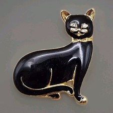 tuxedo cat female for sale tuxedo cat female for sale Longmont